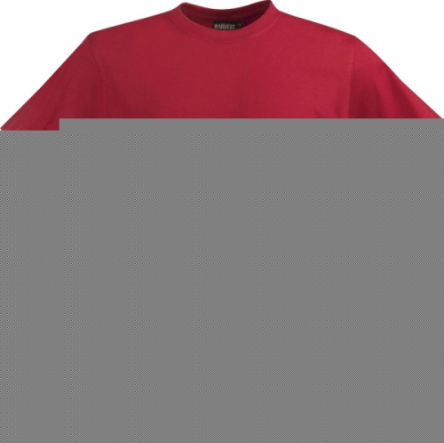 Футболка мужская American T, красная