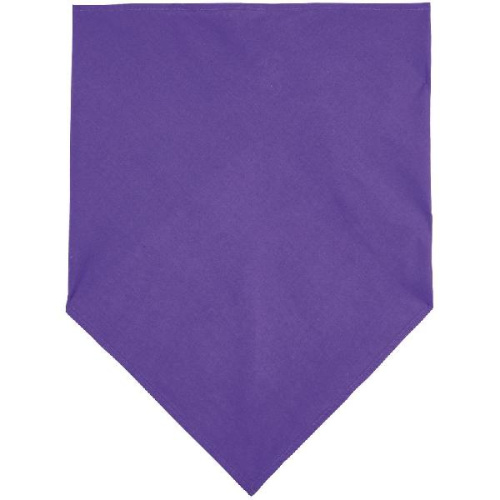 Шейный платок Bandana фото 2