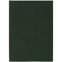 Ежедневник Flat Light, недатированный