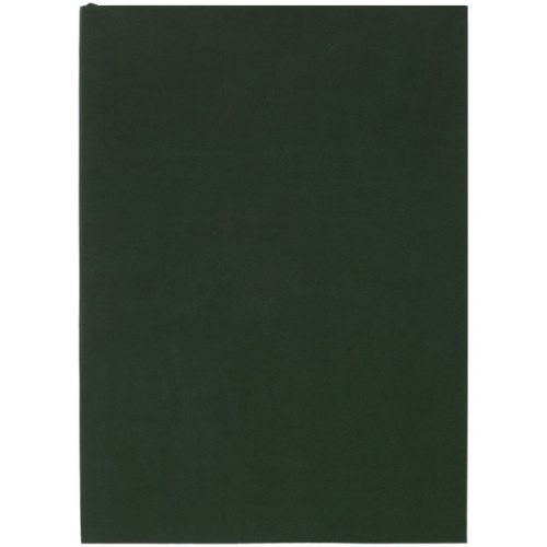 Ежедневник Flat Light, недатированный